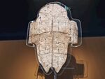 古代龜甲文物展示