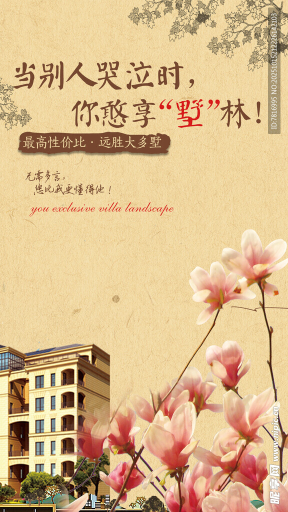 粉色玉蘭花旁的樓房景觀