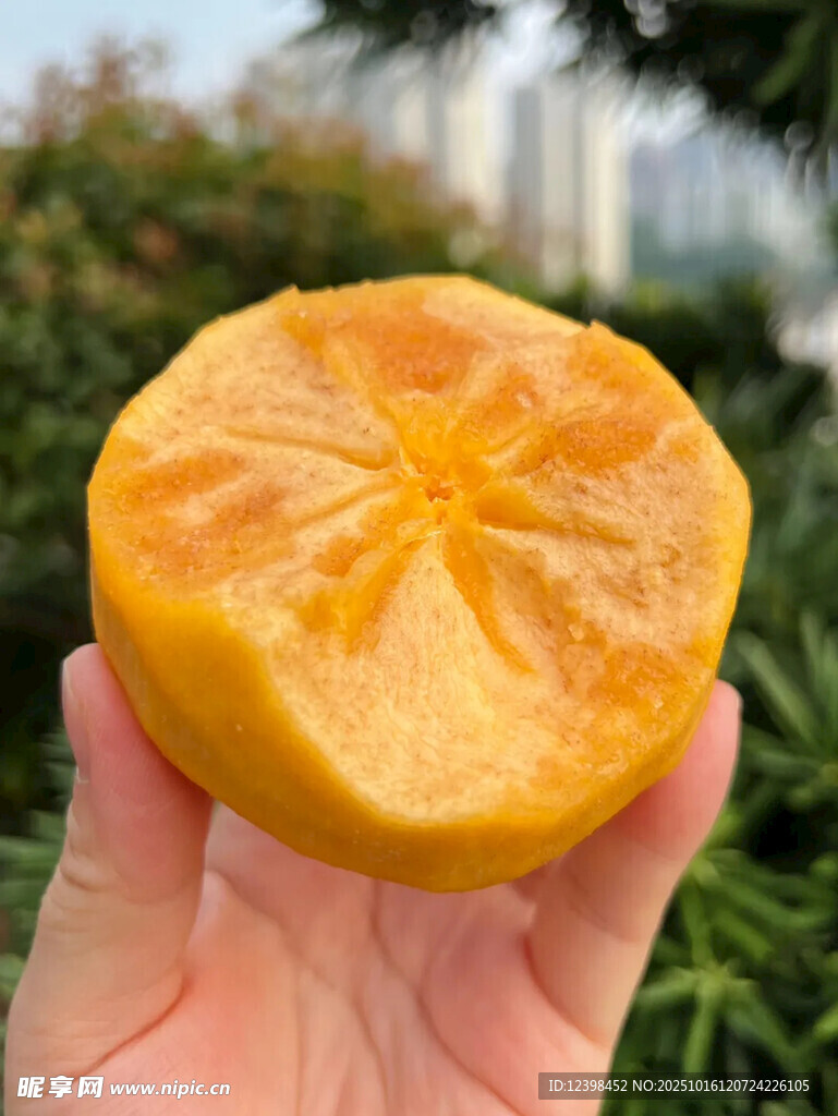 手捧黃澄澄的新鮮柿子