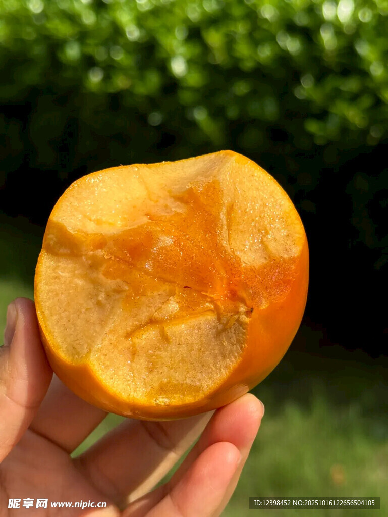 手捧切開的誘人黃柿子