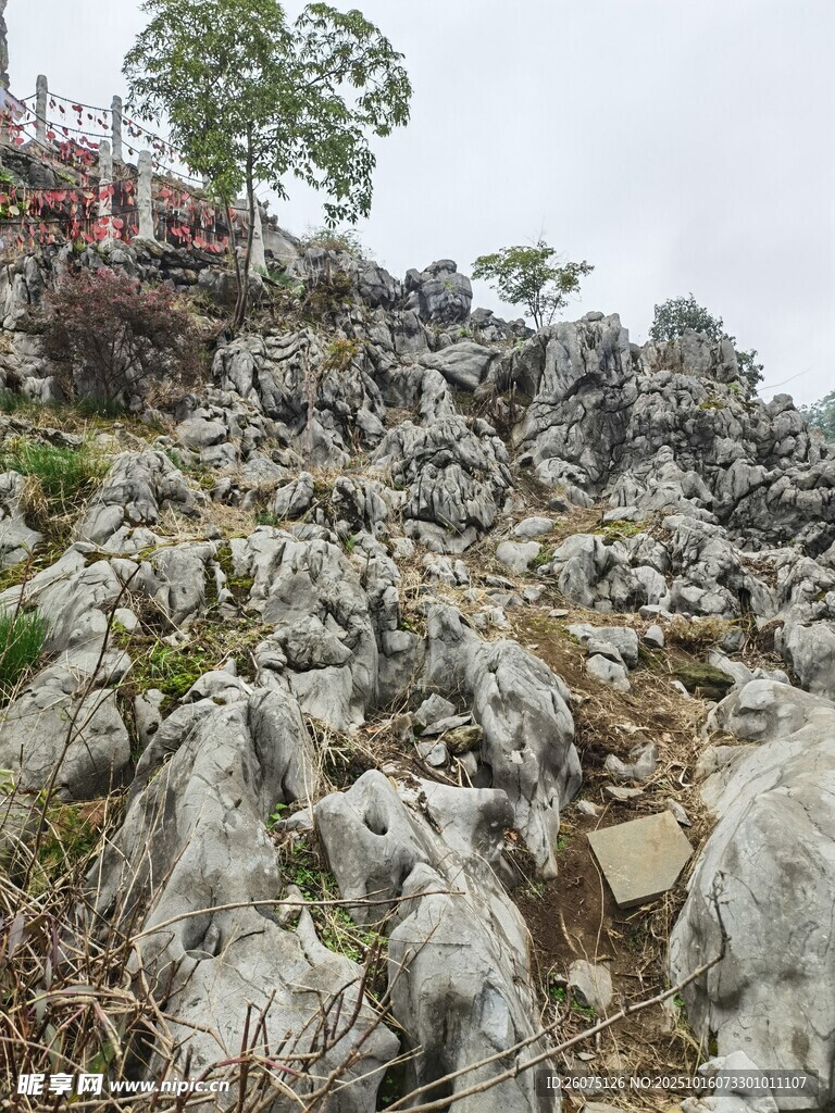 嶙峋山石與孤樹景觀