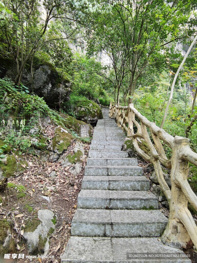 山林間的木質(zhì)步道