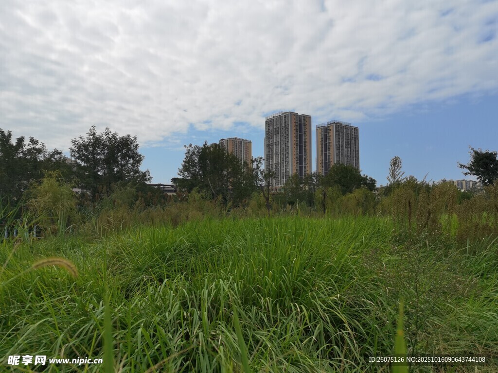 城郊草地與遠(yuǎn)處高樓景觀