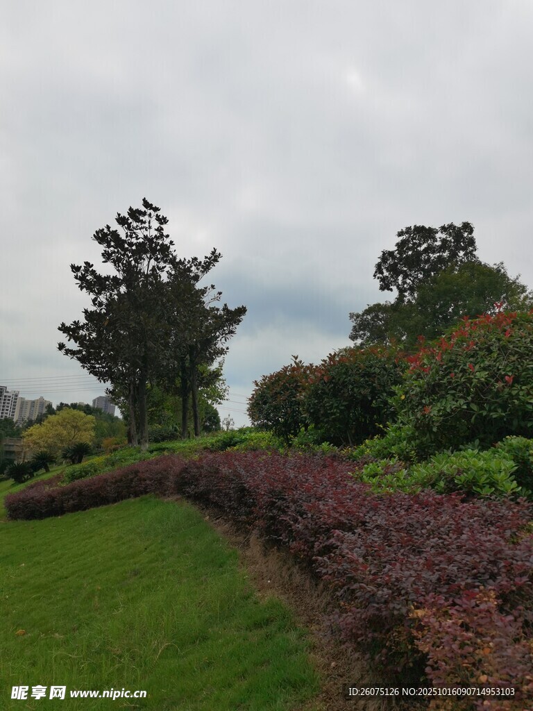 園林綠植景觀