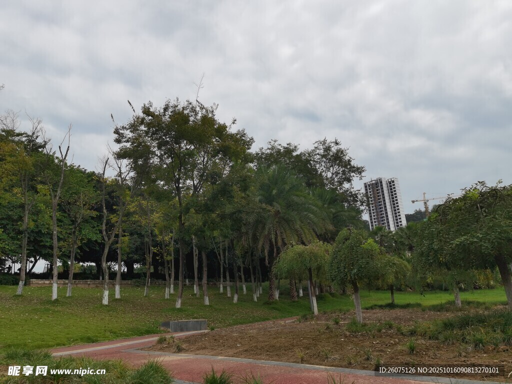 城市公園中的綠樹與步道