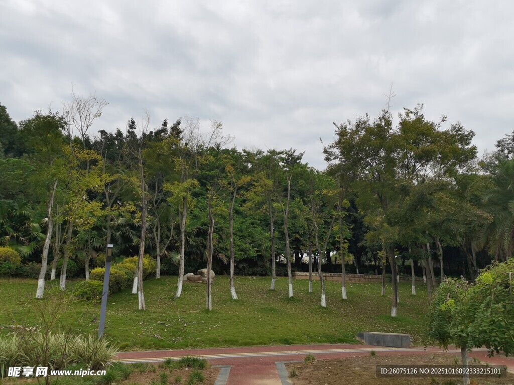 綠意盎然的戶外園林景觀