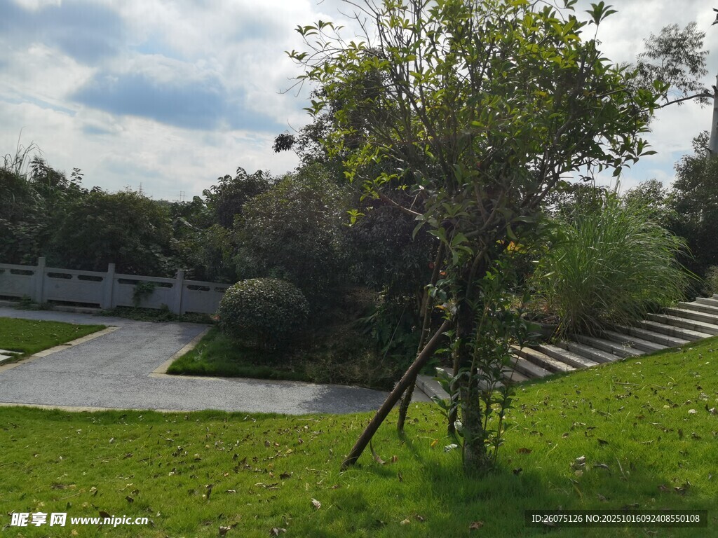 戶外綠意盎然的園林景致