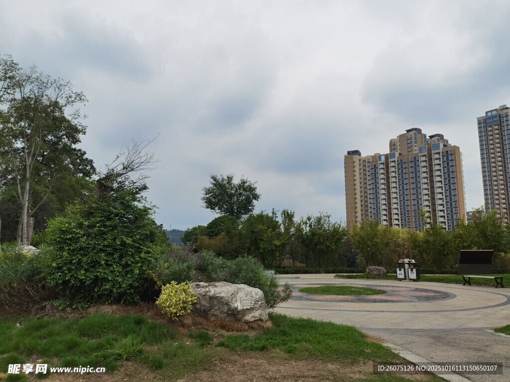 城市公園旁的高層住宅景觀