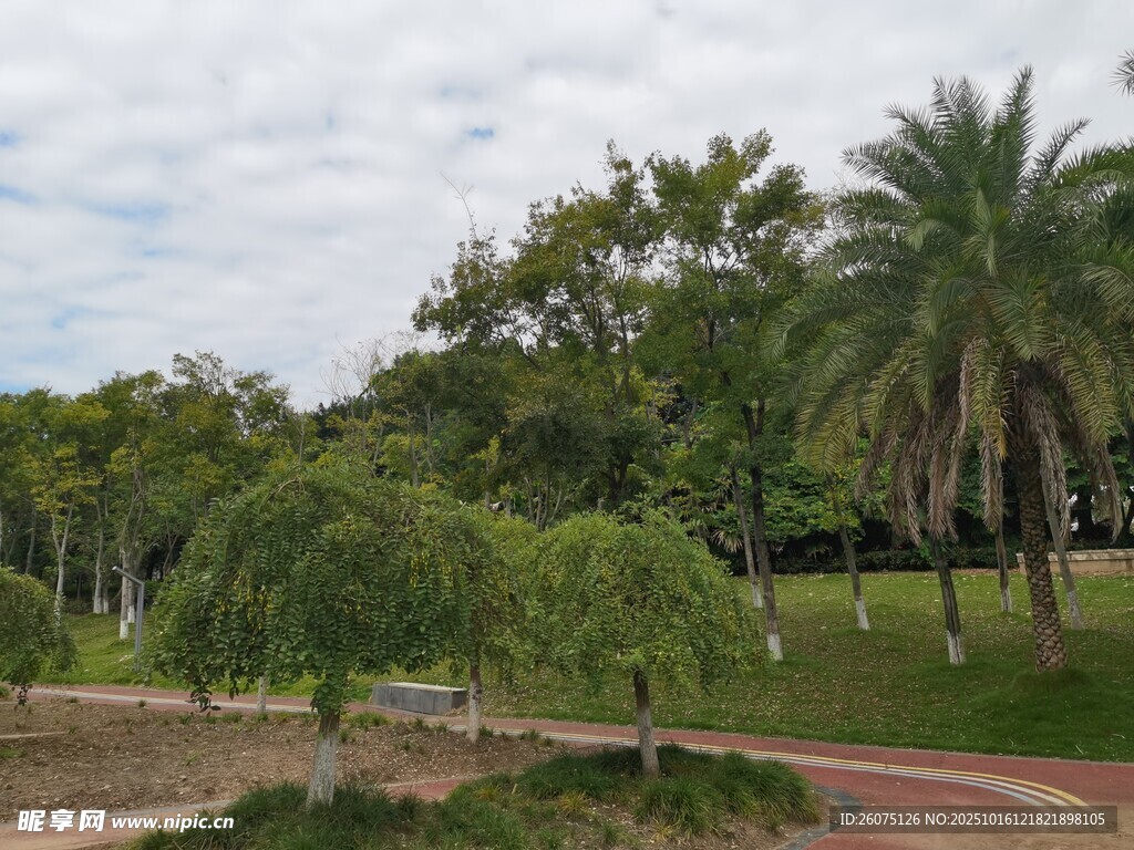 公園綠樹成蔭的休閑景致