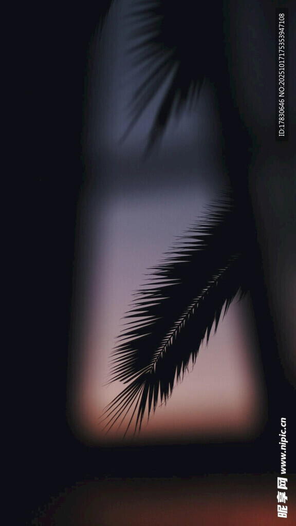 窗邊棕櫚葉的朦朧景致
