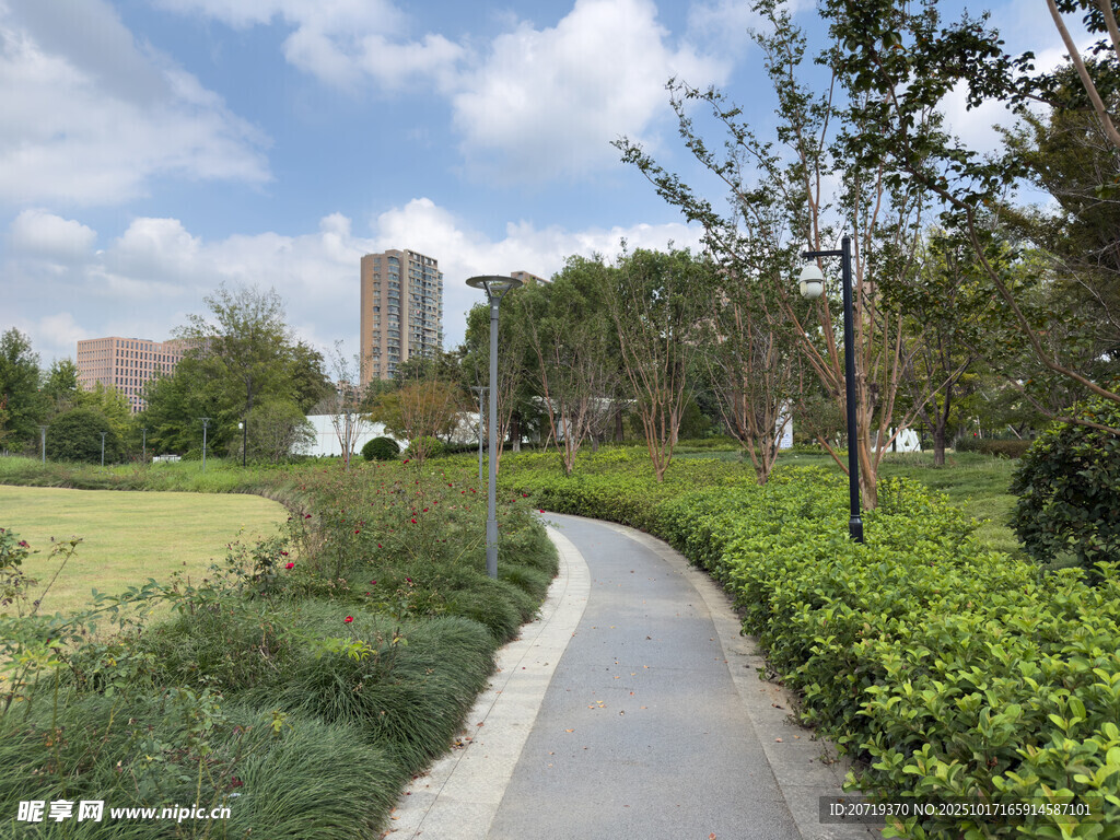 城市中的靜謐林蔭步道