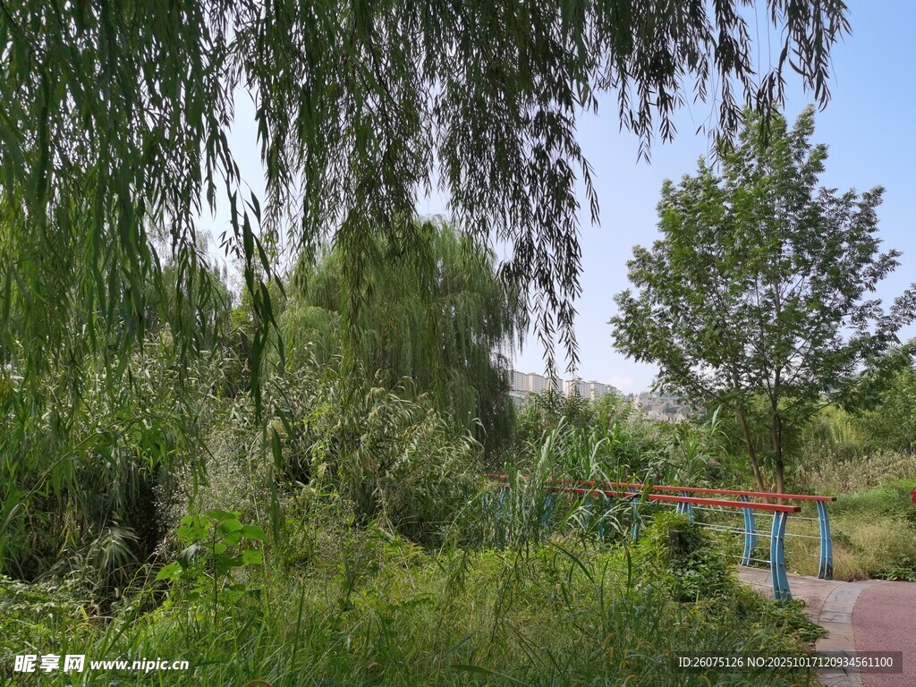 綠意盎然的林間小道