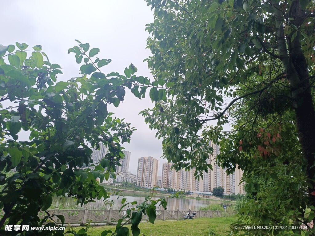 透過綠樹望遠(yuǎn)處城市景觀