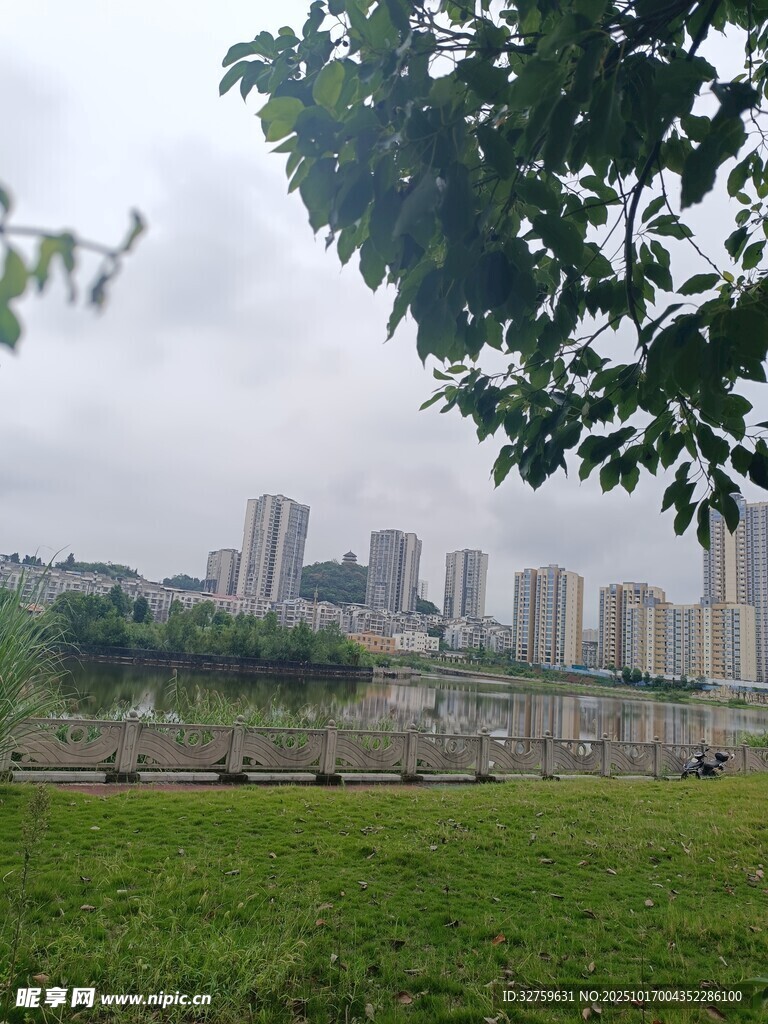 城市草地與遠處高樓景觀