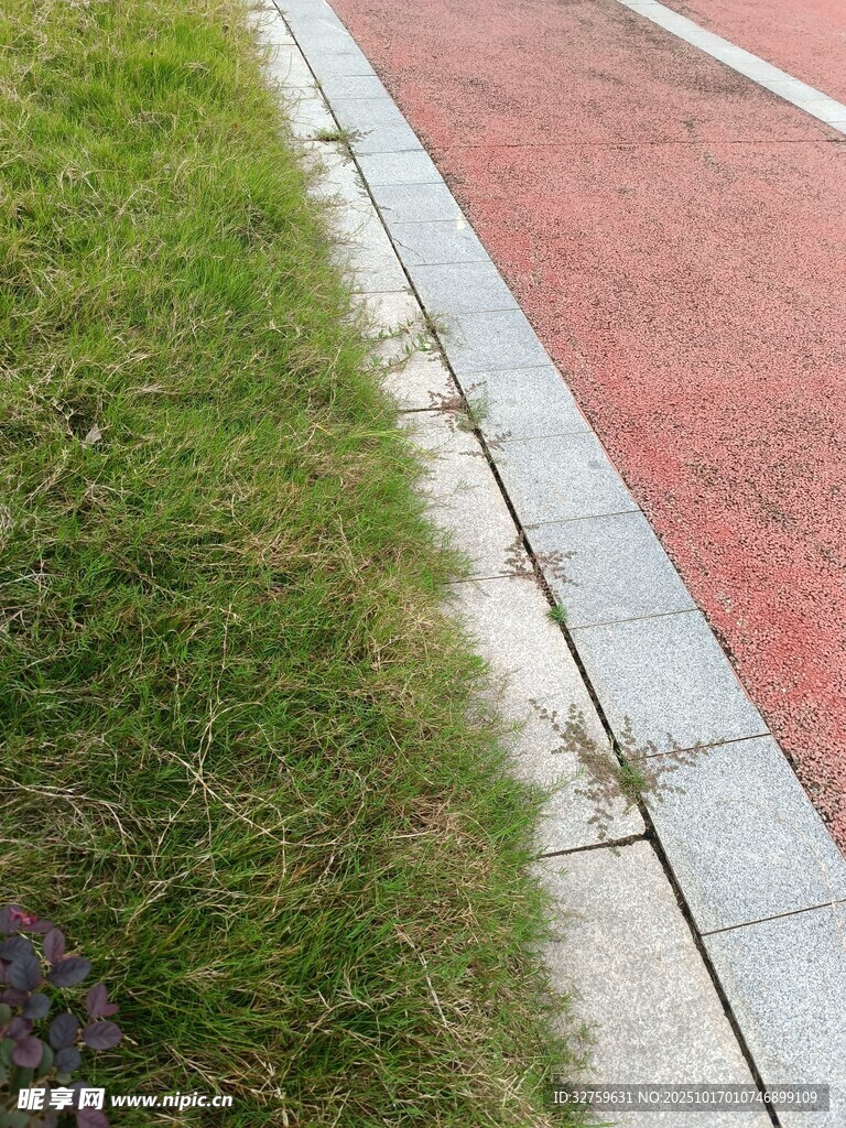 路邊草地與紅色步道