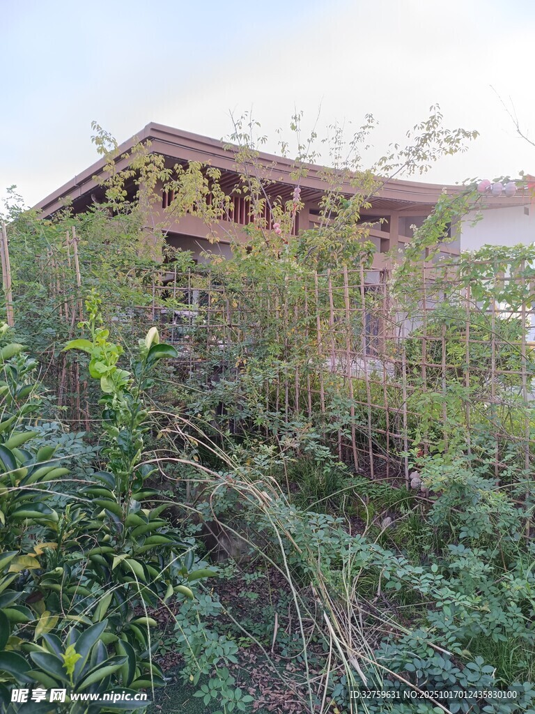 荒廢建筑被綠植環(huán)繞
