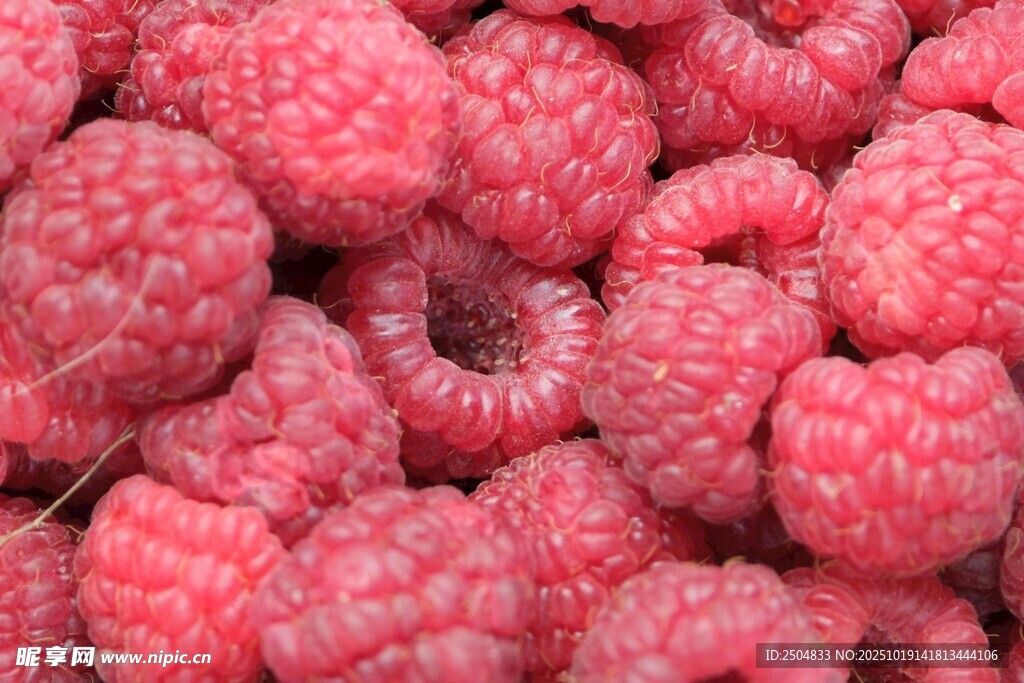 新鮮飽滿的樹莓果實