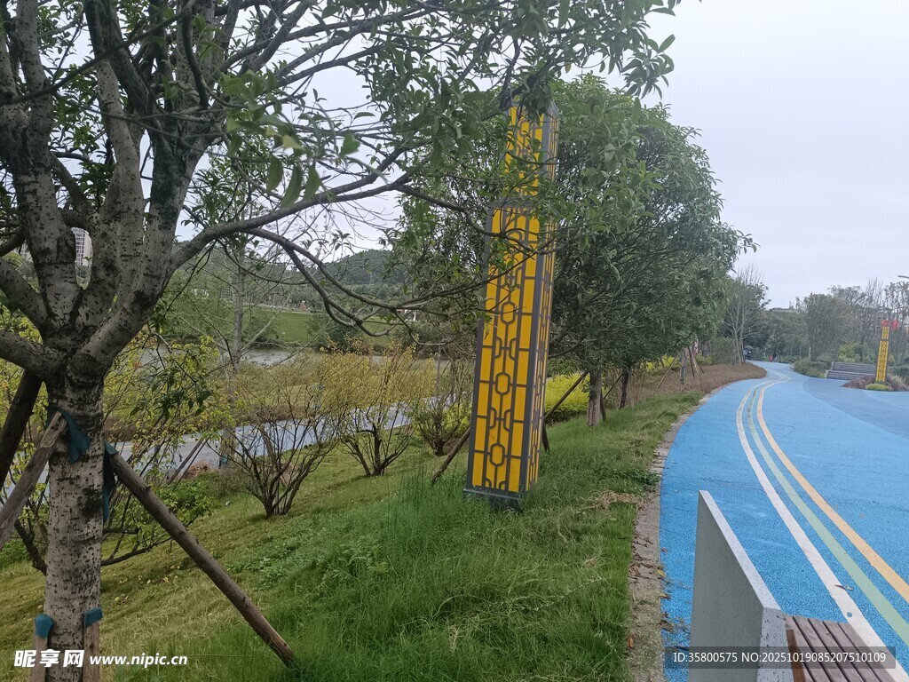 戶外路旁的樹木與設(shè)施