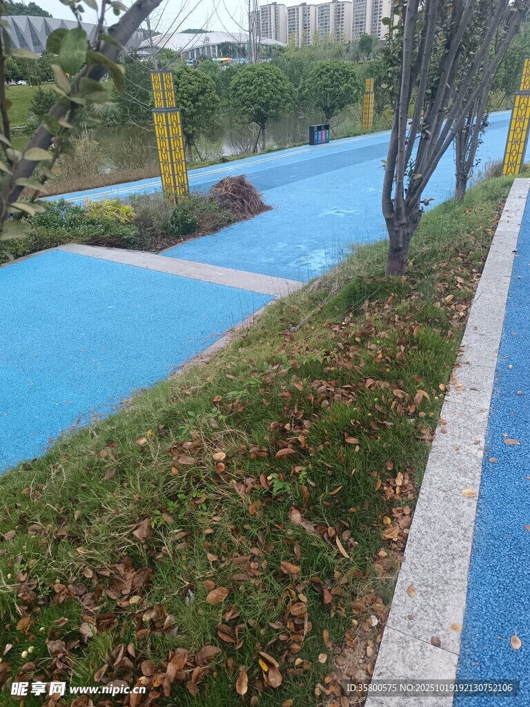 小區(qū)休閑泳池邊綠植景觀