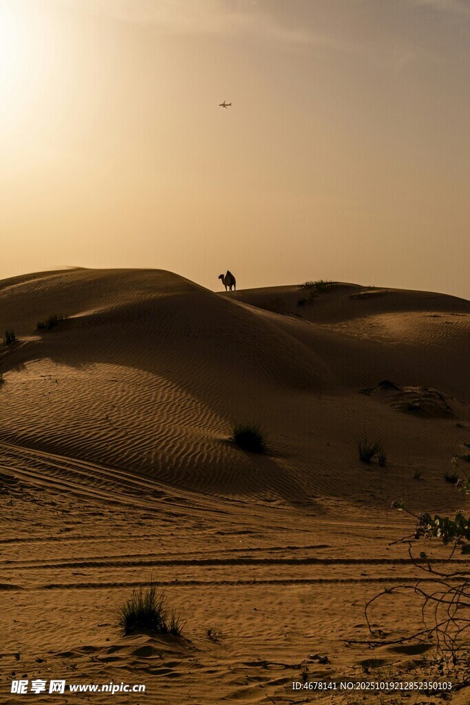 夕陽(yáng)下的廣袤沙漠景觀