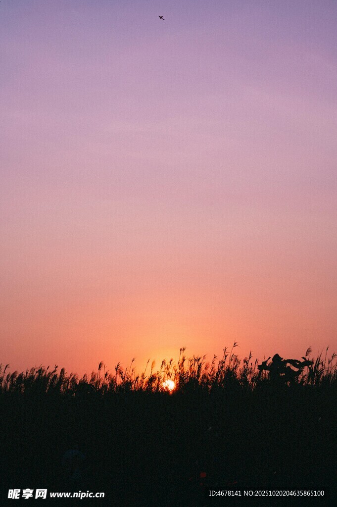 日落時分的草地美景