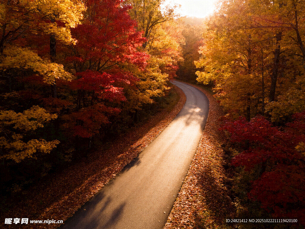 秋日林間公路的迷人景致