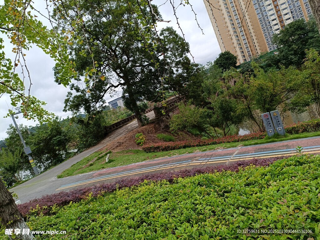 城市中的綠植景觀一角