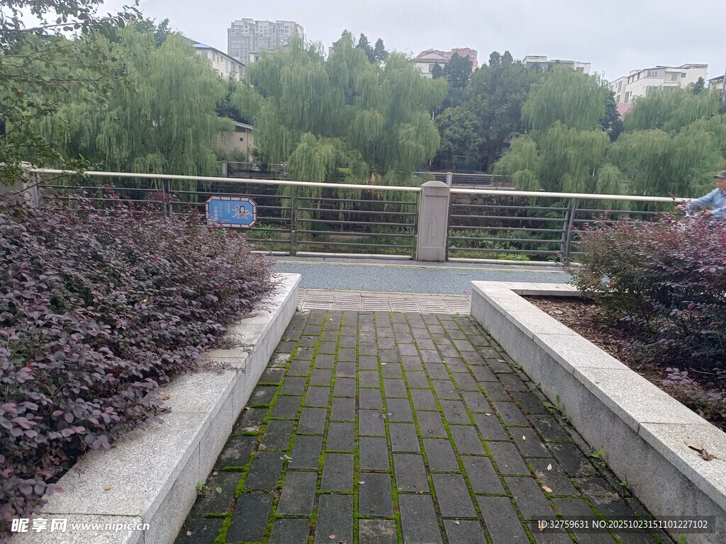 雨中靜謐的園林小徑