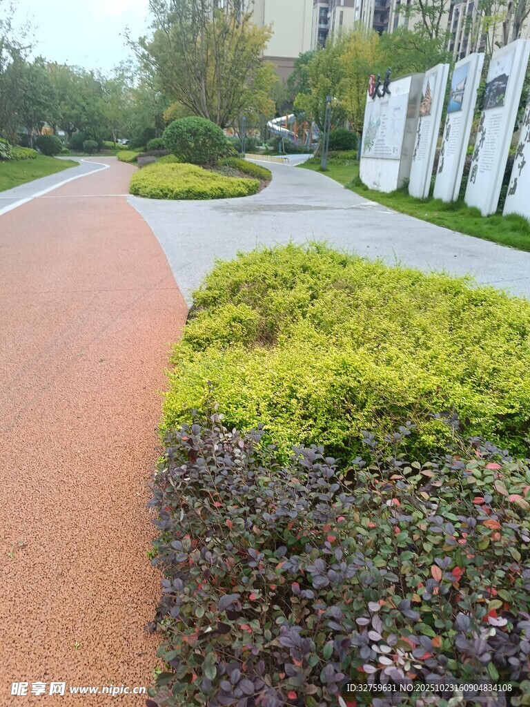 城市中的多彩綠植步道