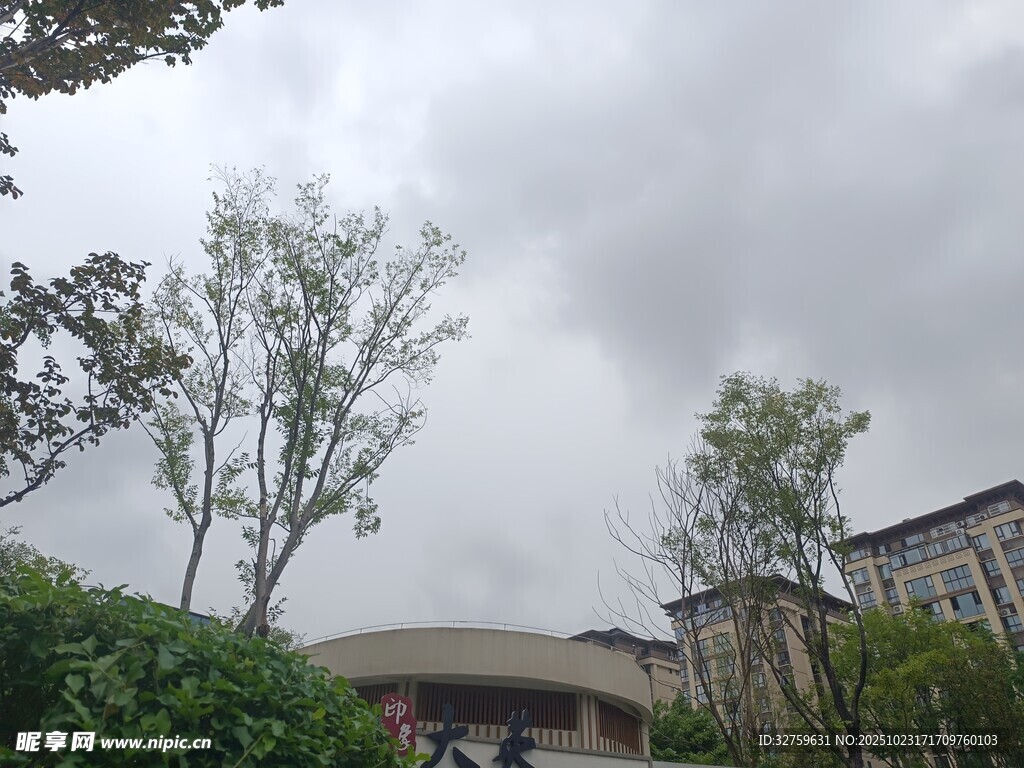 陰天里的校園建筑與樹(shù)木