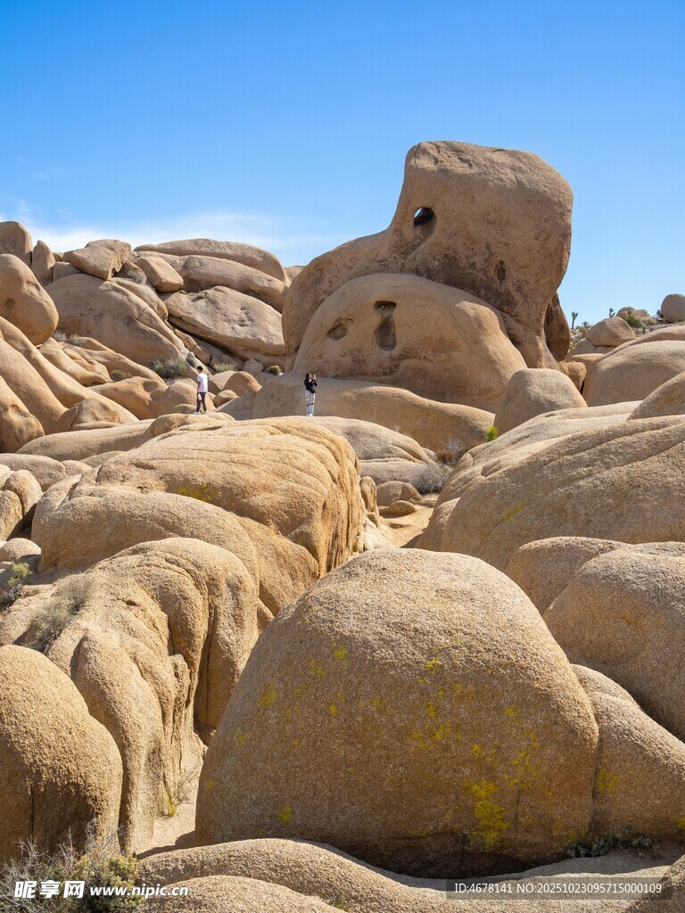 荒野中的奇特巖石景觀