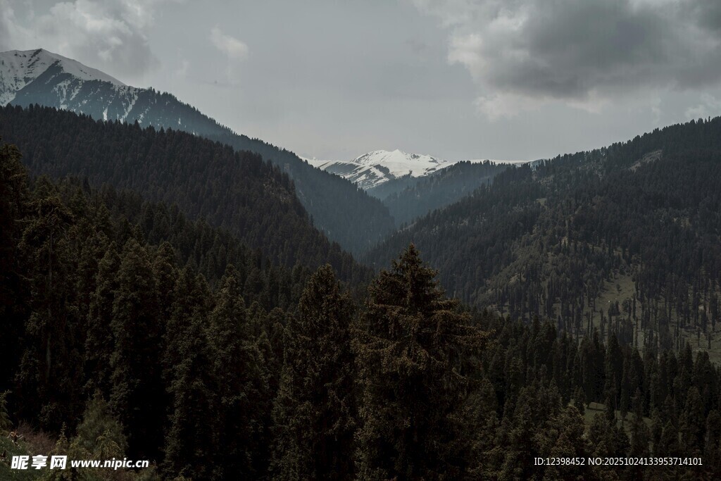 山間森林與遠處雪山景觀