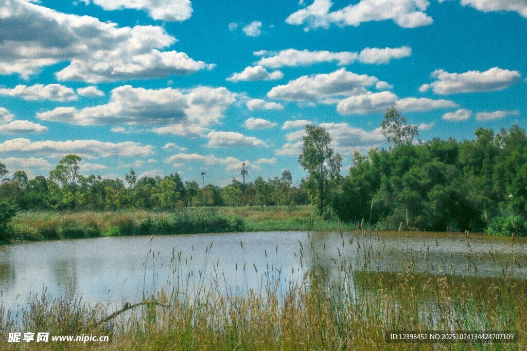 湖畔藍天綠樹自然美景