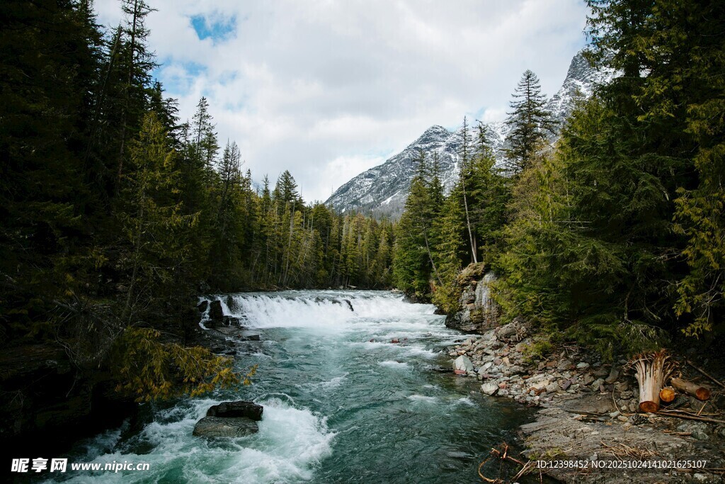 山間湍急溪流與茂密森林