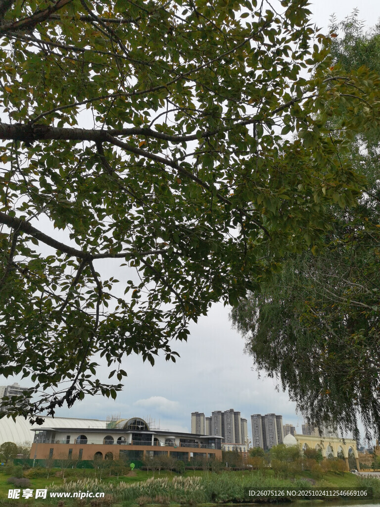 綠樹掩映下的遠(yuǎn)處建筑