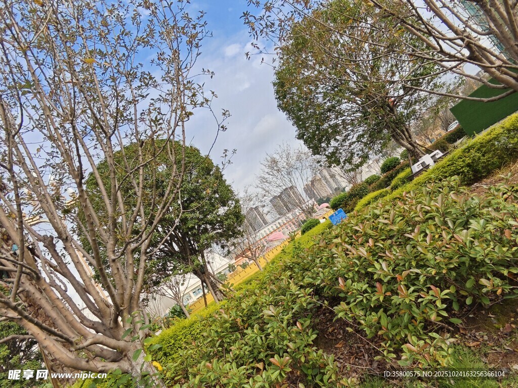 城市中的綠意盎然景觀