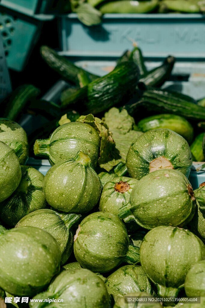 新鮮青皮瓜堆置場景