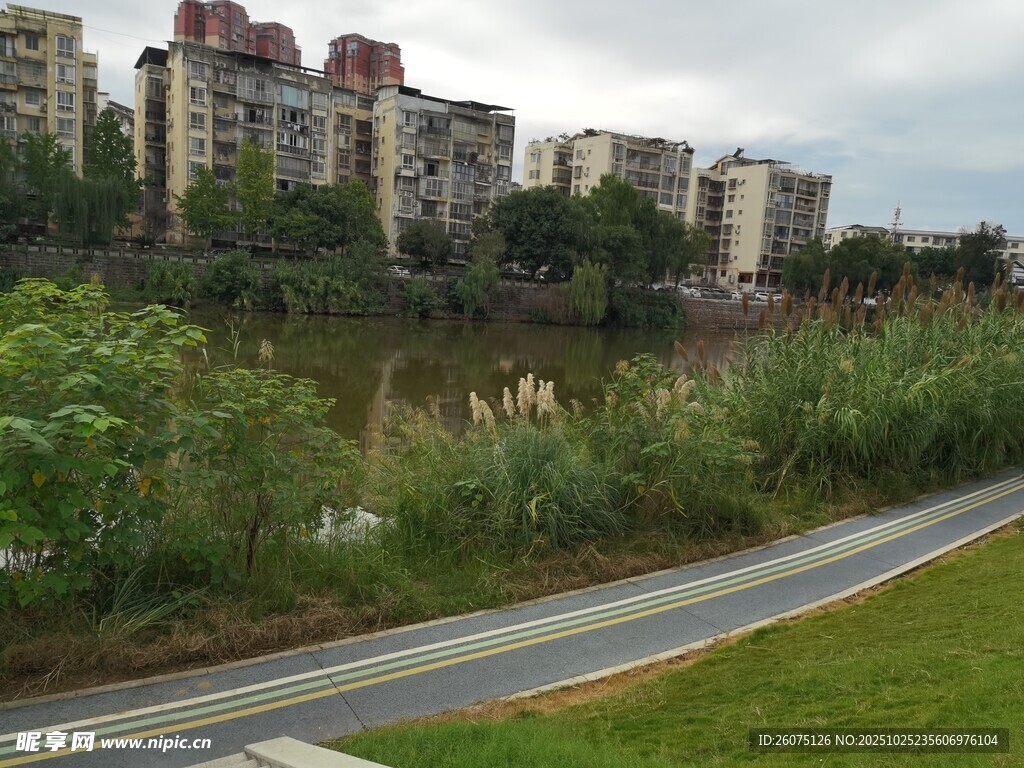 河畔城市景觀與綠植小道