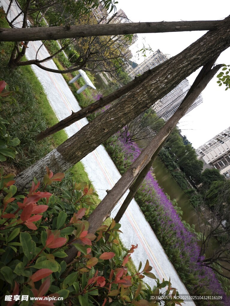 透過(guò)木架看多彩植物景觀