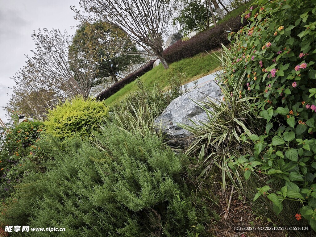 綠意盎然的花園景觀