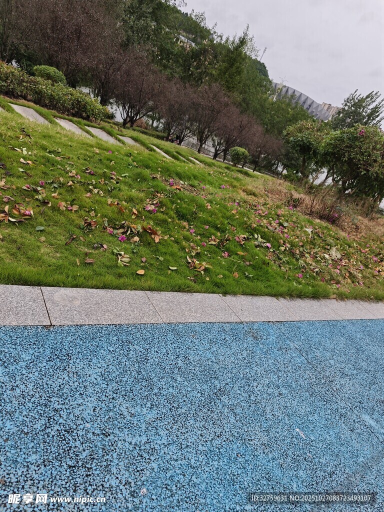 藍(lán)色路面與周邊綠地景觀