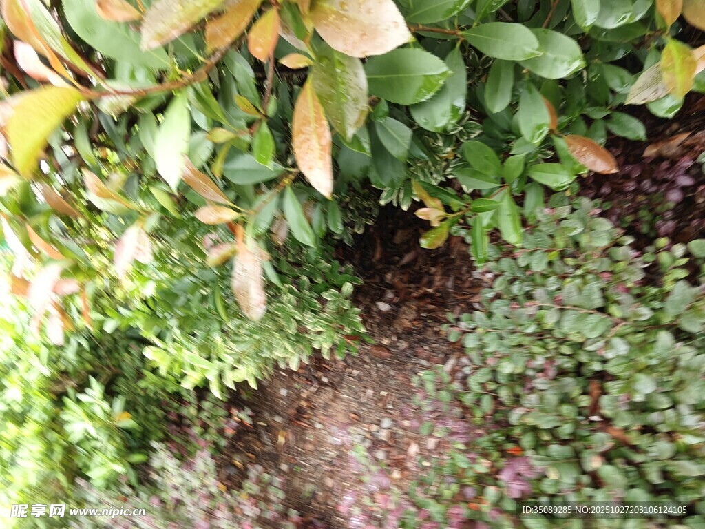 多彩綠植下的地面景象