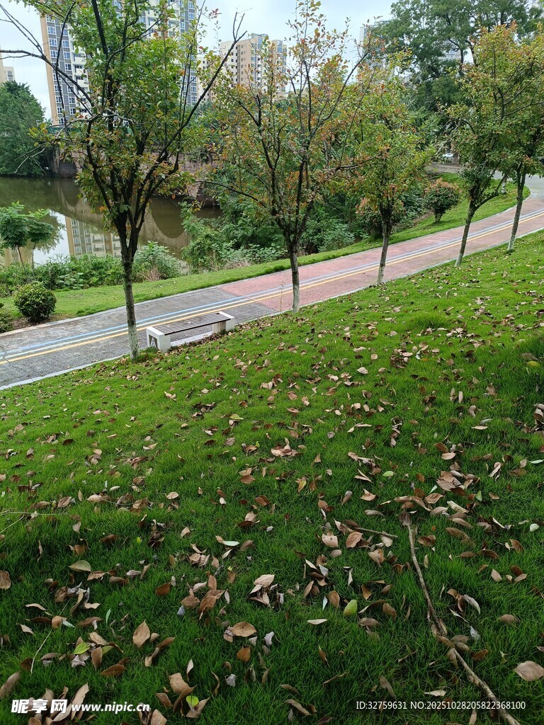 秋日公園小徑與散落落葉