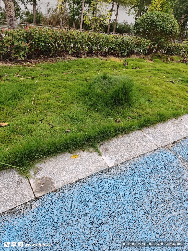 路邊翠綠草坪與藍(lán)色步道
