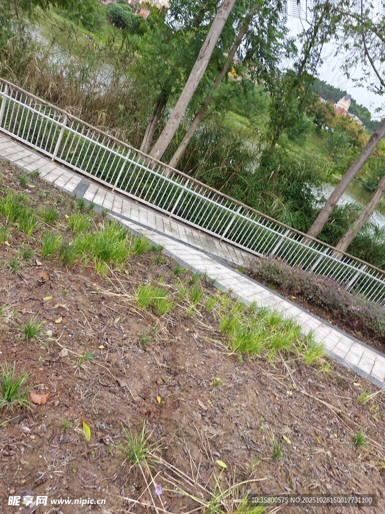 戶外圍欄旁的泥土與植被