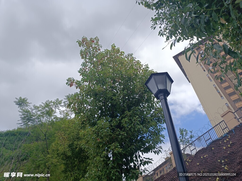 戶外路燈與綠樹藍(lán)天景象