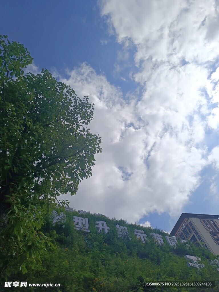 藍(lán)天白云下的綠樹與房屋