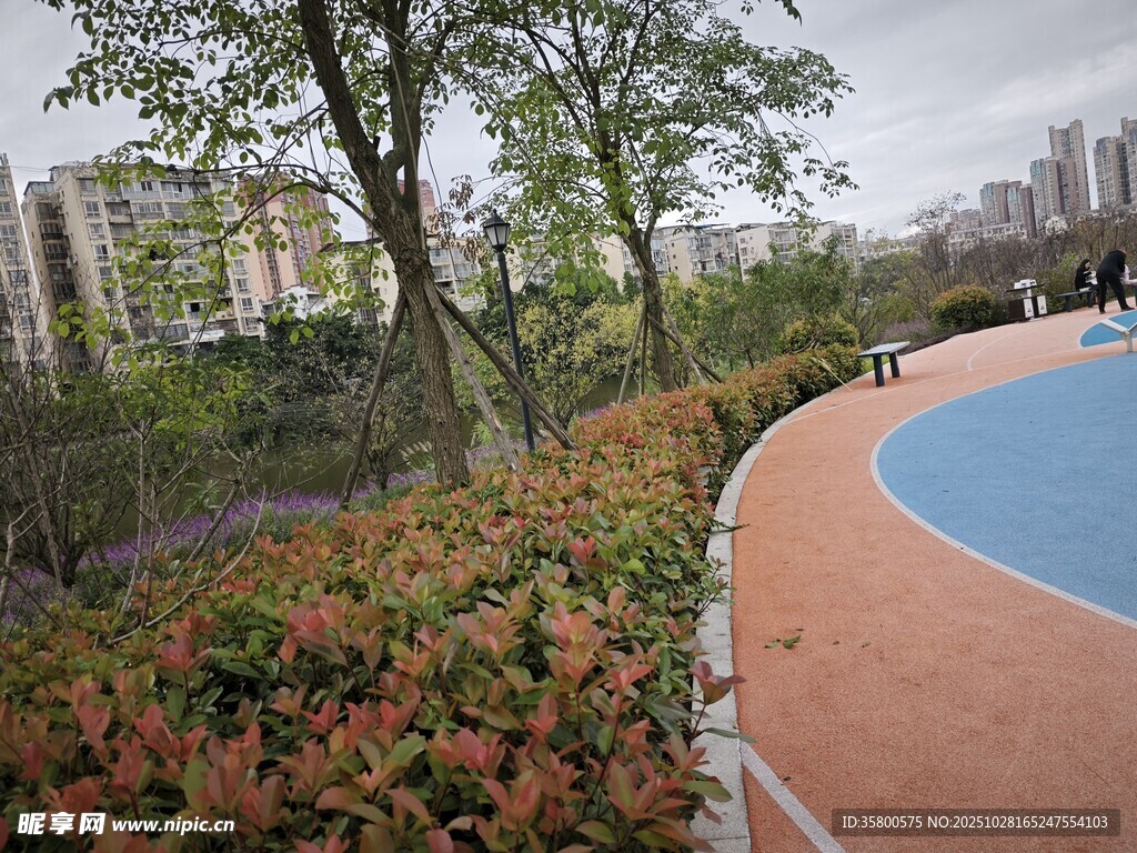 城市公園中的多彩景觀