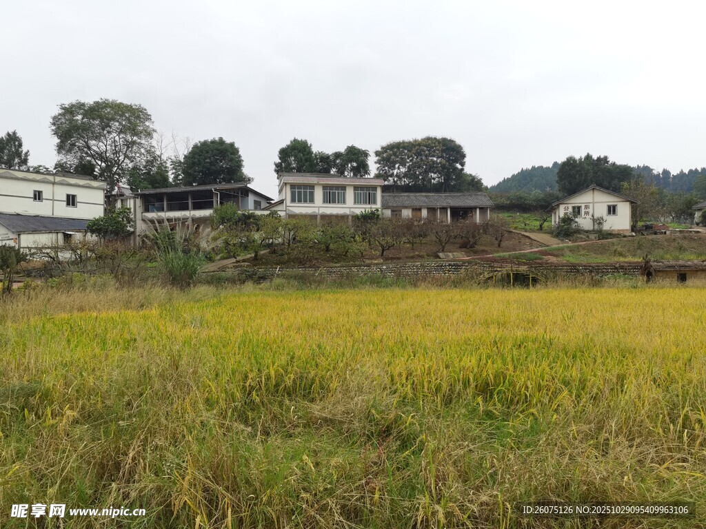 秋日鄉(xiāng)村田野風(fēng)光圖景