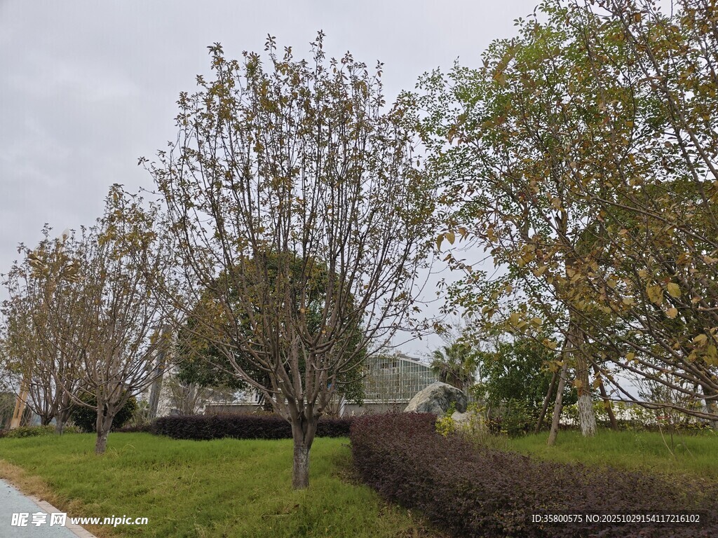 公園綠樹成蔭的景致